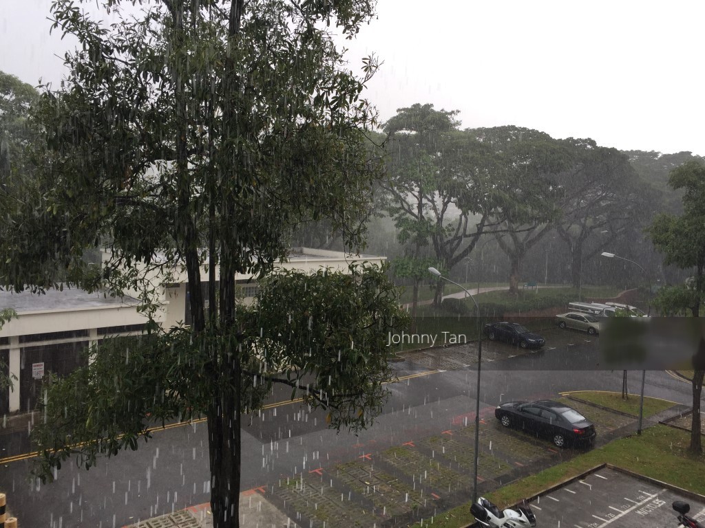 Blk 525 Bedok North Street 3 (Bedok), HDB 3 Rooms #144371292